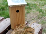 Activité nature : aider la nidification des oiseaux