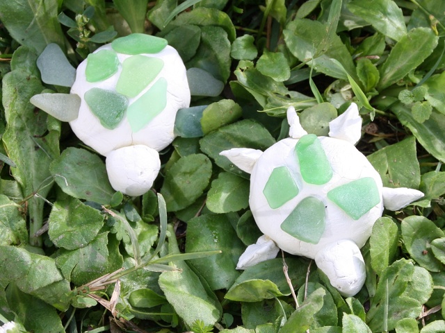 Idées et tutos de Tortue