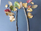 Invitation à créer : un arbre d’automne avec des éléments naturels