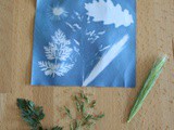Presque une photographie : des végétaux sur papier photosensible