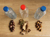 Les bouteilles sensorielles-l'Automne - Pédagogie Montessori