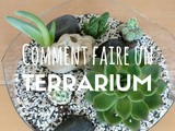 Comment faire un terrarium (ouvert)