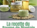 La recette du baume de plantain : fabriquez votre baume apaisant et cicatrisant maison