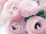 Bonne fête à toutes les mamans