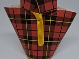 Boîte chemise