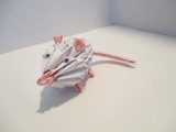 Origami 3D: souris