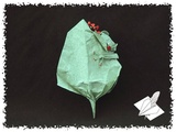 Grenouille cachée