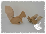 Petits écureuils