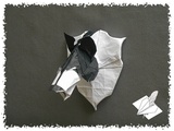 Tête de loup