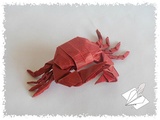 Un autre petit crabe