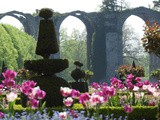 Les tulipiades : visite printanière au château de Maintenon