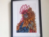 Coloriage: Hachette: le coq / Le bestiaire extraordinaire