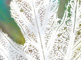 De créer #37 : Empreintes de feuilles sur agar-agar [Voyageons Ludique]