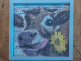 Broderie Diamant